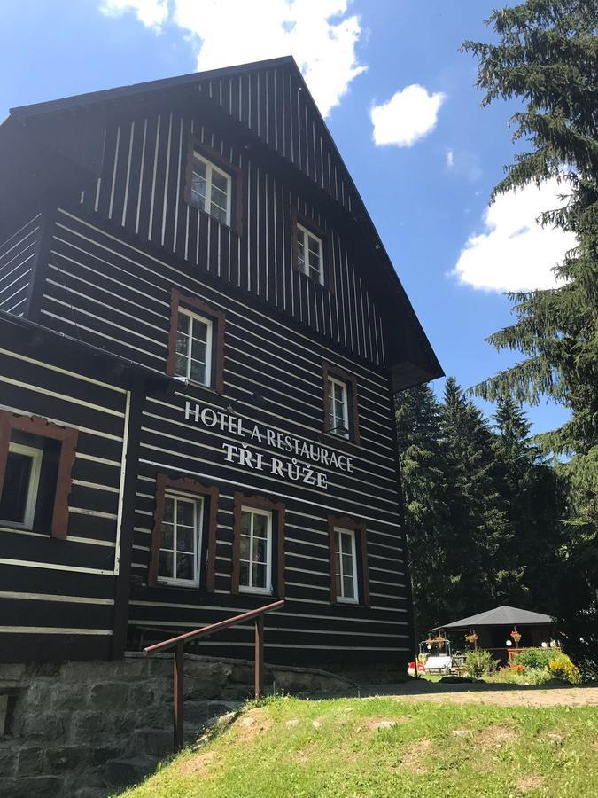 Hotel Tri Ruze Szpindlerowy Młyn Zewnętrze zdjęcie